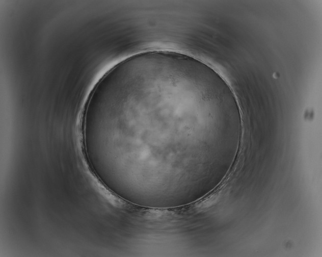 X0000100471056200806201602