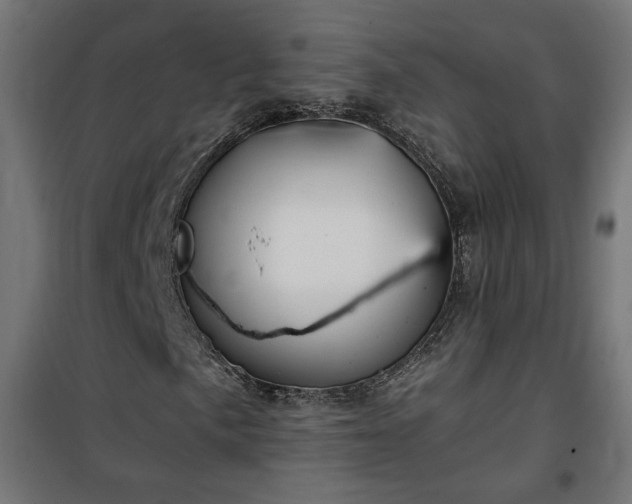 X0000100471057200806201601