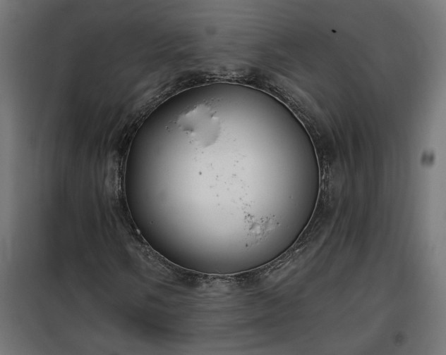 X0000100471058200806201601