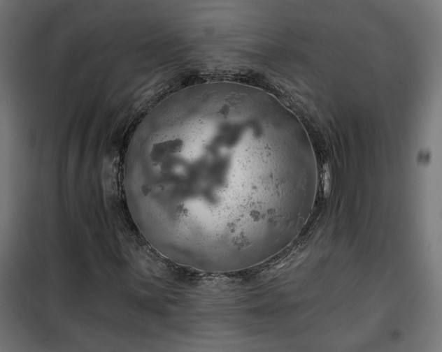 X0000100471059200806201601