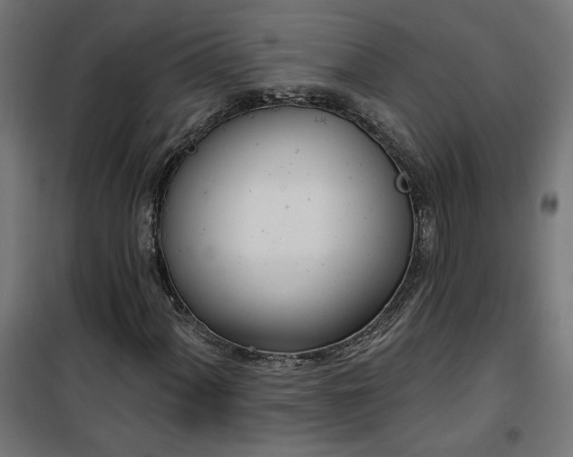 X0000100471060200806201601