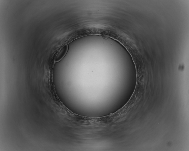 X0000100471061200806201601