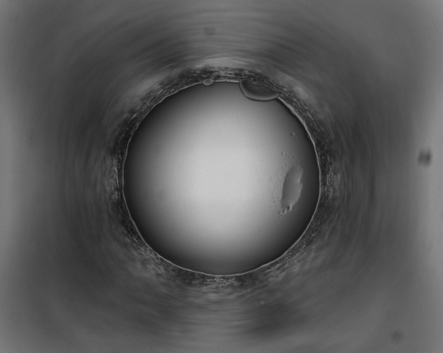 X0000100471062200806201601