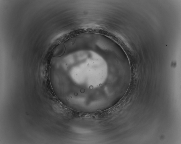 X0000100471063200806201601