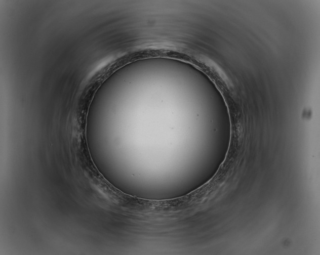 X0000100471064200806201601