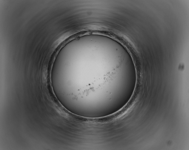 X0000100471065200806201601