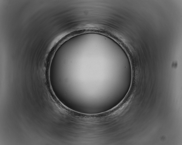 X0000100471066200806201601