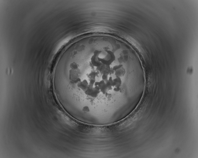 X0000100471067200806201601