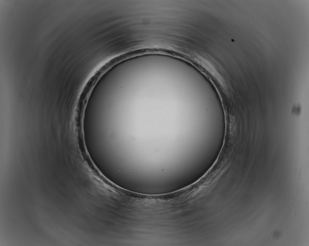 X0000100471068200806201601