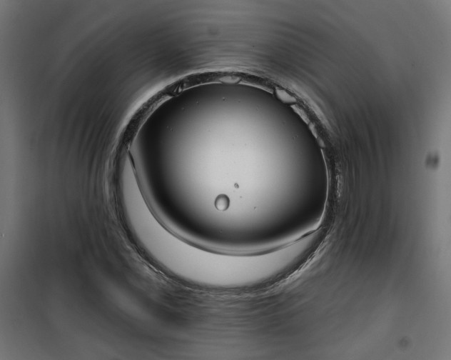 X0000100471069200806201601