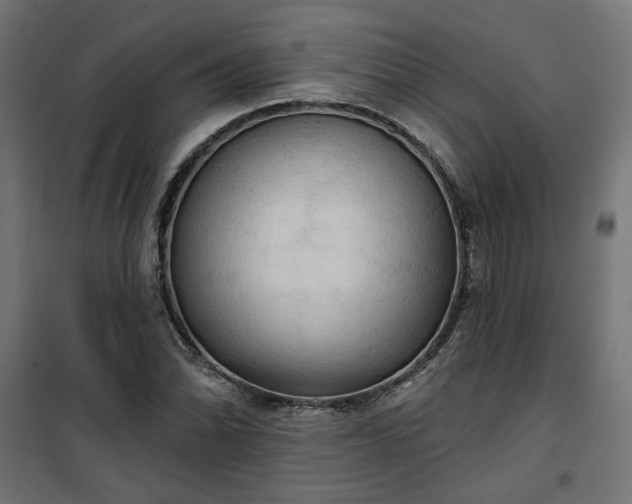 X0000100471070200806201601