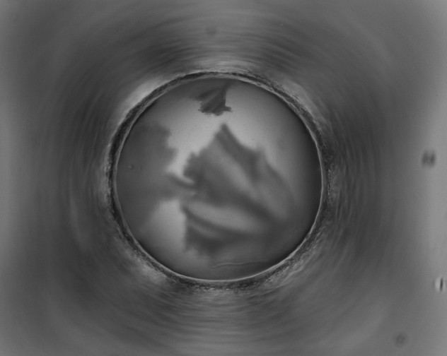 X0000100471071200806201601