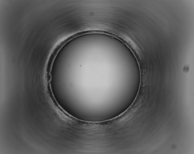 X0000100471072200806201601