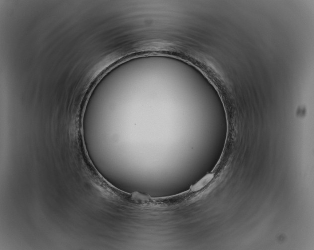 X0000100471073200806201601