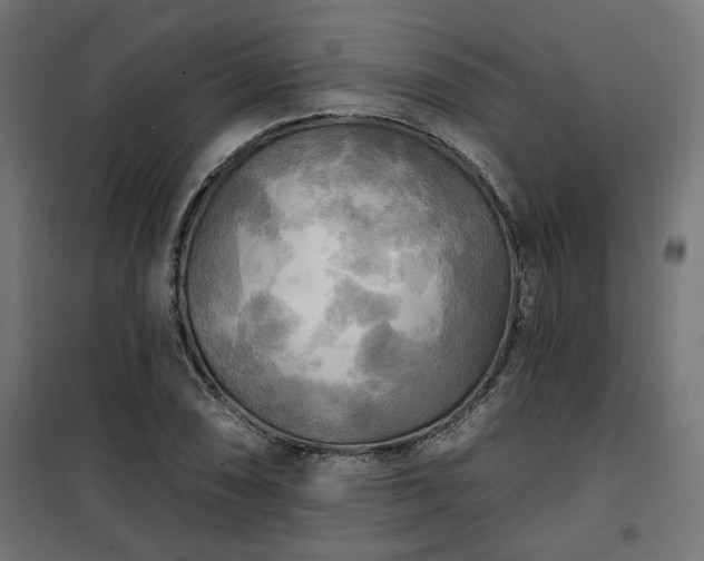 X0000100471074200806201601