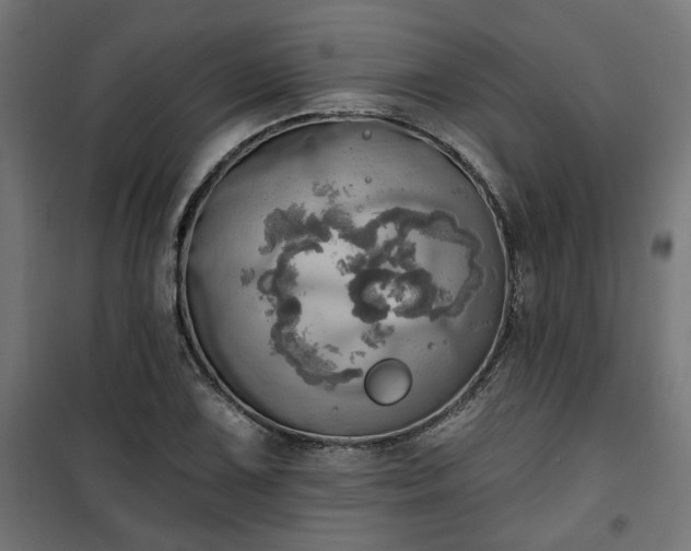 X0000100471075200806201601