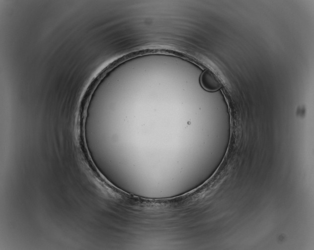 X0000100471076200806201601