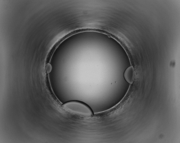 X0000100471077200806201601