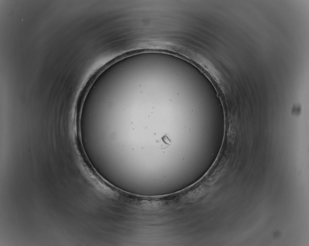 X0000100471080200806201601