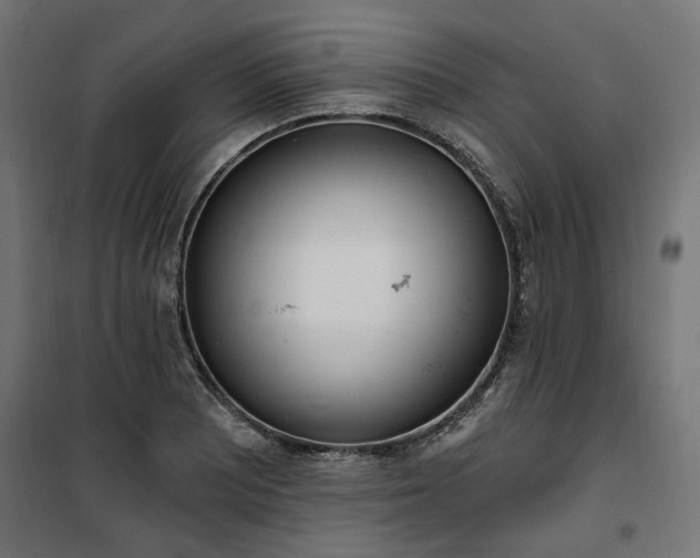 X0000100471081200806201601