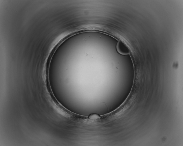 X0000100471082200806201601