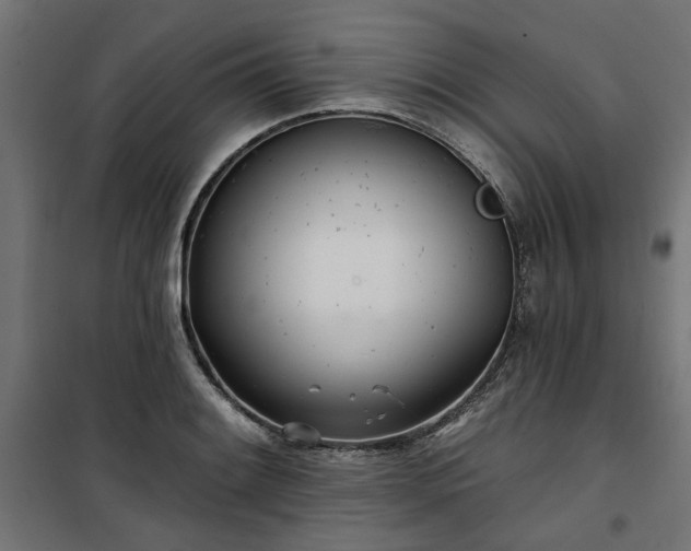 X0000100471084200806201601