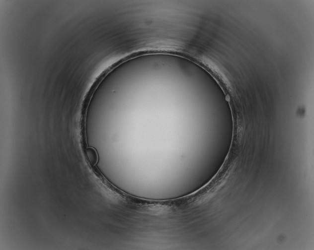 X0000100471085200806201601