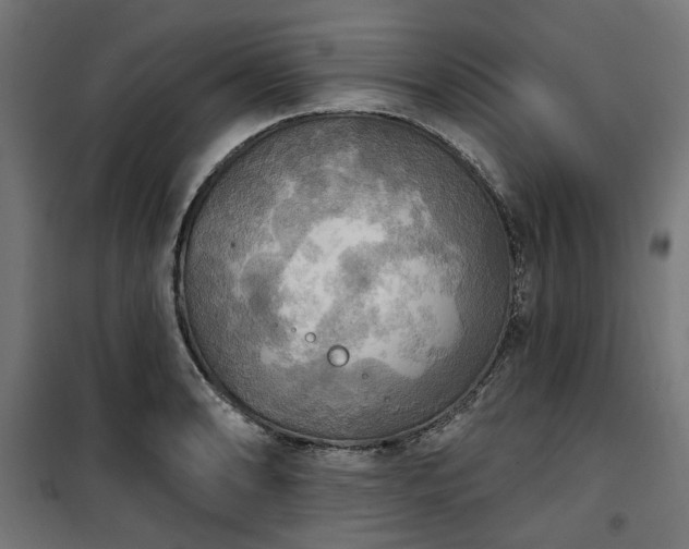 X0000100471086200806201601