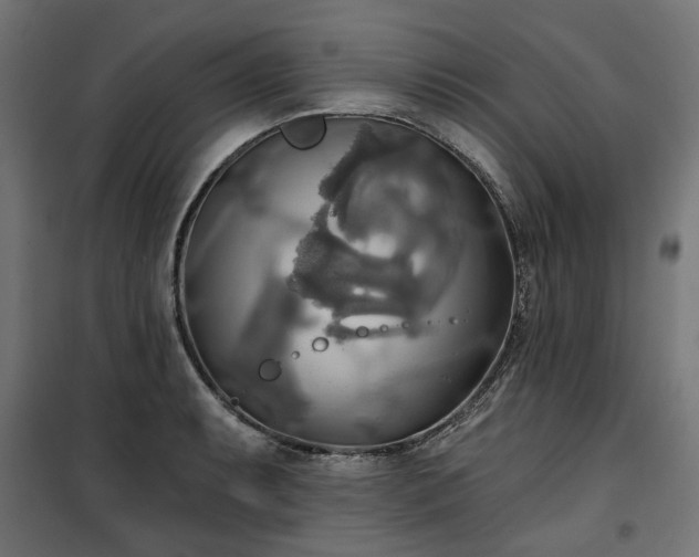 X0000100471087200806201601