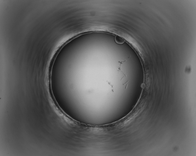 X0000100471088200806201601