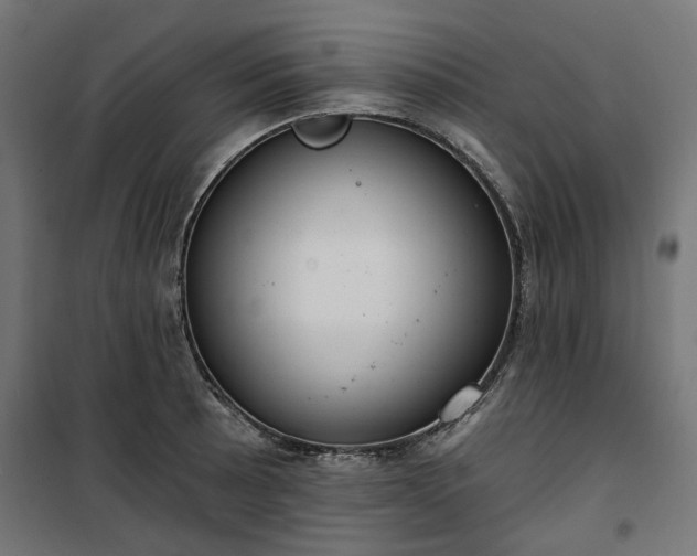 X0000100471089200806201601