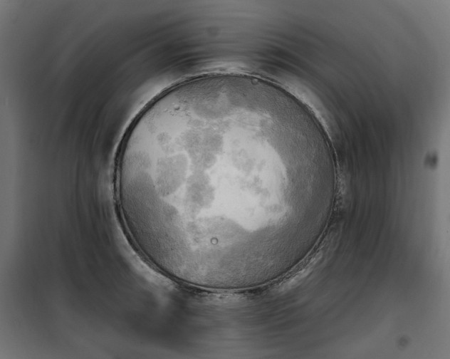 X0000100471090200806201601