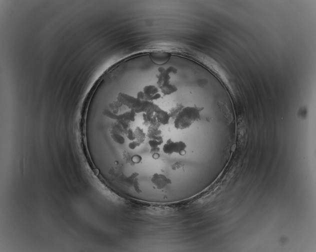 X0000100471091200806201601