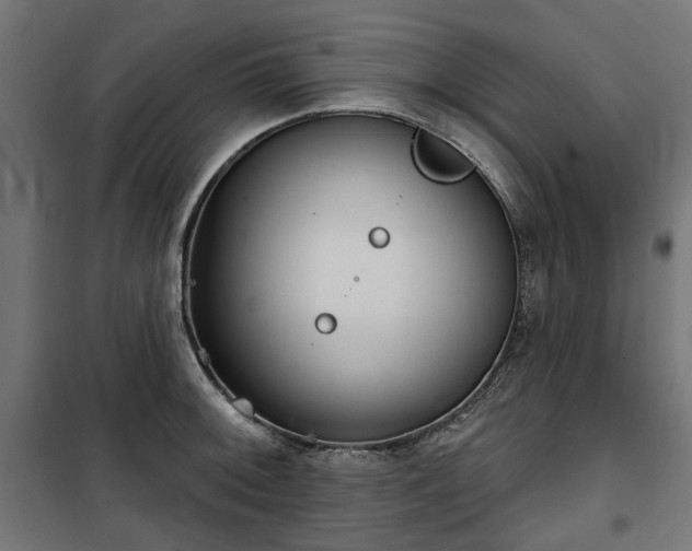 X0000100471092200806201601