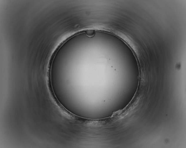 X0000100471093200806201601