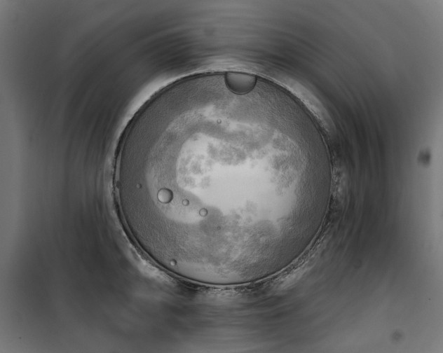 X0000100471094200806201601