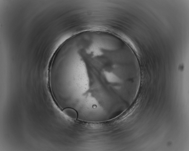 X0000100471095200806201601