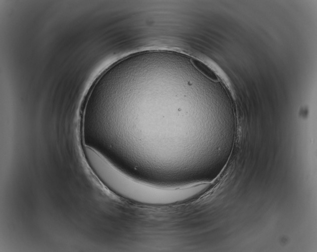 X0000100471096200806201601