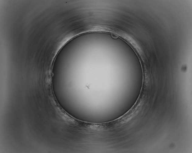 X0000100471097200806201601