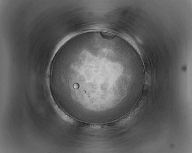 X0000100471098200806201601