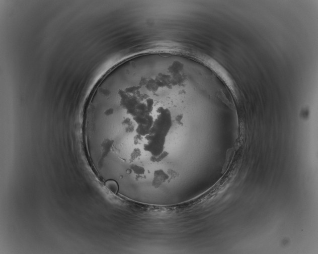 X0000100471099200806201601