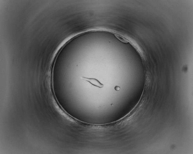 X0000100471100200806201601