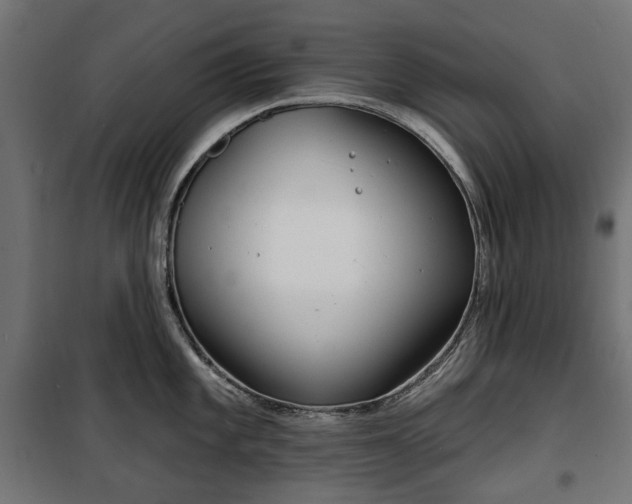 X0000100471101200806201601