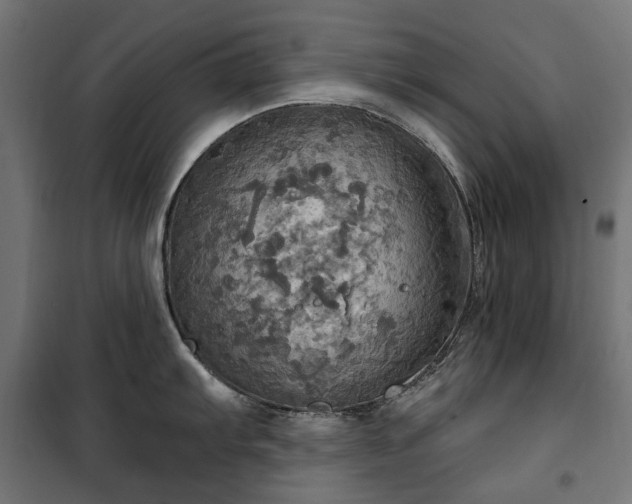 X0000100471103200806201601