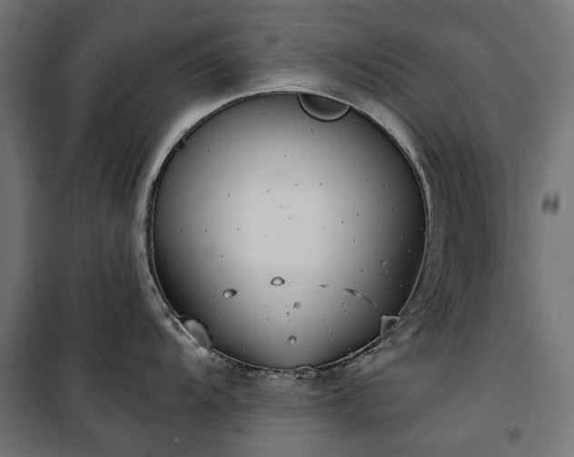 X0000100471104200806201601