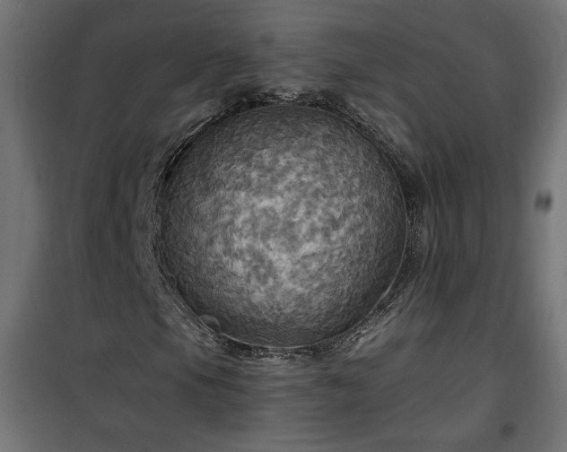 X0000100471105200806201600