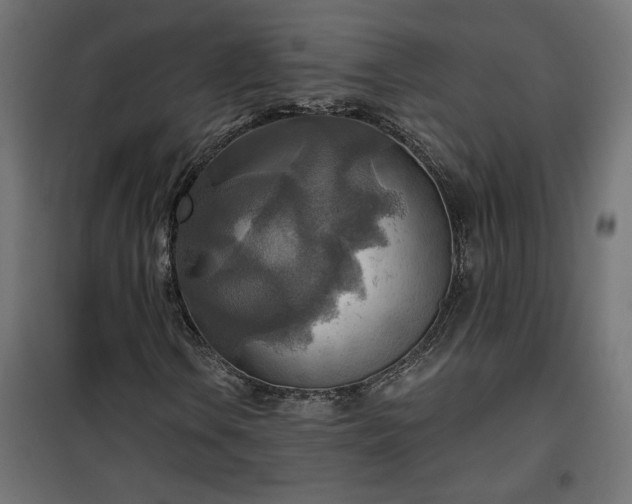 X0000100471106200806201600