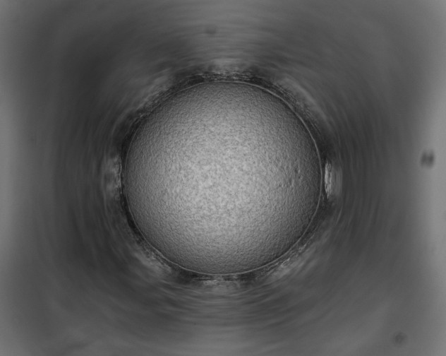 X0000100471107200806201600