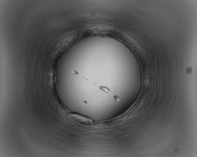 X0000100471108200806201600