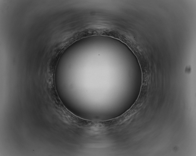 X0000100471109200806201600